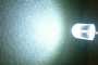 Led oval White