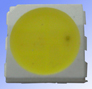 TOP LEDs PLCC-6